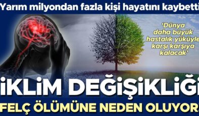 204 ülkeyi kapsayan araştırmanın sonucu korkuttu… İklim değişikliği yarım milyondan fazla felç ölümüne neden oldu! ‘Dünya daha büyük bir hastalık yüküyle…