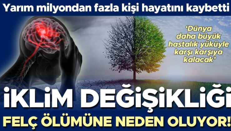 204 ülkeyi kapsayan araştırmanın sonucu korkuttu… İklim değişikliği yarım milyondan fazla felç ölümüne neden oldu! ‘Dünya daha büyük bir hastalık yüküyle…