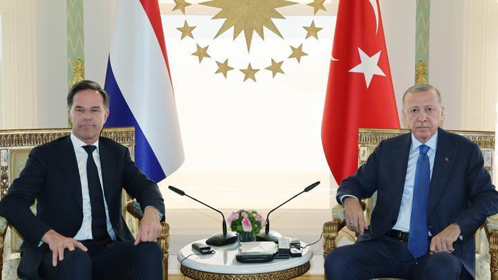 Cumhurbaşkanı Erdoğan, Hollanda Başbakanı Mark Rutte ile görüştü