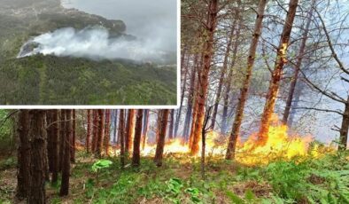 Kastamonu’da korkutan orman yangını: Müdahale ediliyor