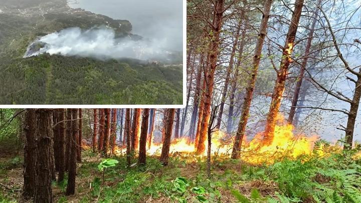 Kastamonu’da korkutan orman yangını: Müdahale ediliyor