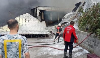 Mersin’de narenciye tesisinde yangın: Hızla büyüdü, kontrol altına alındı