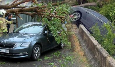 Meteoroloji’den yeni hava durumu raporu… Kuvvetli yağış ve fırtına etkili oluyor: Ağaçlar devrildi, çatı uçtu