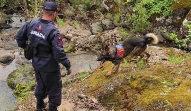 Özel eğitimli kadavra arama köpeği ‘Denek’, Korhan Berzeg’in izini sürüyor