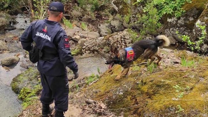 Özel eğitimli kadavra arama köpeği ‘Denek’, Korhan Berzeg’in izini sürüyor