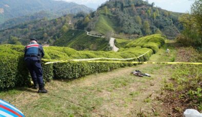 Rize’de korkunç olay! Baş kısmı kopmuş erkek cesedi bulundu