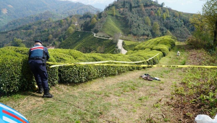 Rize’de korkunç olay! Baş kısmı kopmuş erkek cesedi bulundu