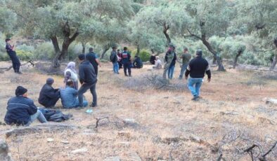 Aydın’da kayıp koyunlarını aramak için evden çıkmıştı! Ölü bulundu