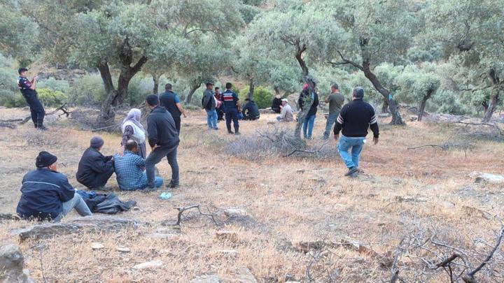 Aydın’da kayıp koyunlarını aramak için evden çıkmıştı! Ölü bulundu