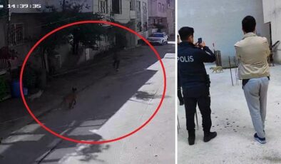 Bursa’da sokak köpeklerinin saldırdığı 2 çocuk yaralandı