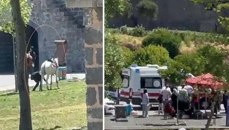 Diyarbakır’da feci olay! Piknik yapan öğrenci ve velilerin arasına at daldı… Sahibi kaçtı