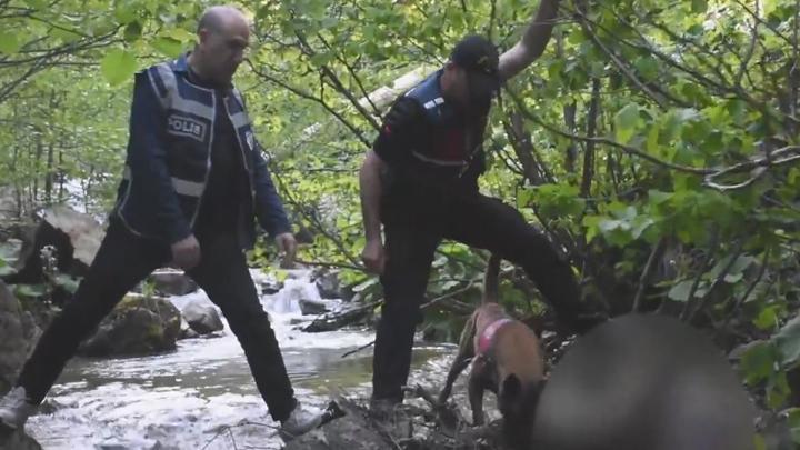 Giresun’da kan donduran cinayet! Sopayla döverek öldürüp cansız bedenini uçuruma attılar