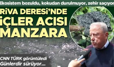 Riva Deresi’nde korkunç manzara: Siyaha döndü! ‘Son derece tehlikeli’