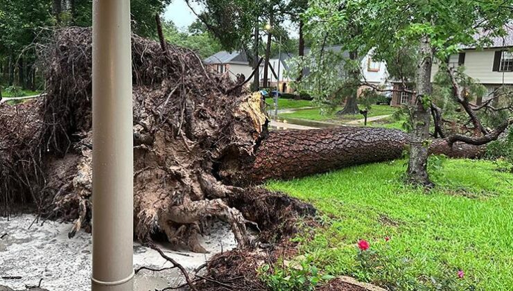 Texas’ta şiddetli fırtına: 4 kişi öldü, 800 binden fazla ev elektriksiz kaldı