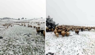 Tokat ve Erciyes’te Mayıs’ta kar sürprizi