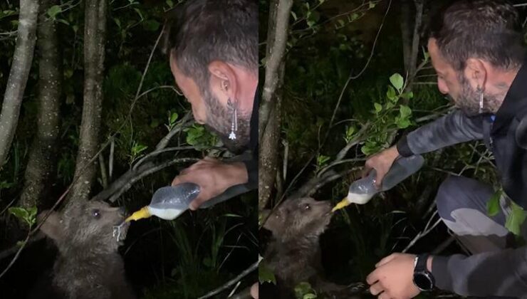 Yol kenarında gördüğü ayı yavrusunu biberonla besledi