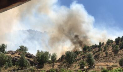 Adıyaman’da ormanlık alanda örtü yangını