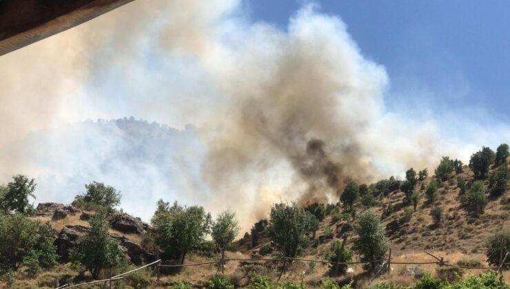 Adıyaman’da ormanlık alanda örtü yangını