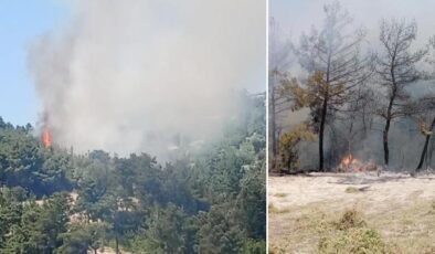 Balıkesir, Bursa, Denizli ve Diyarbakır’da alevlerle mücadele: Havadan ve karadan müdahale ediliyor