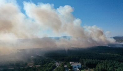 Bursa’da makilik alanda yangın! Yangın kampüsteki ormana sıçradı