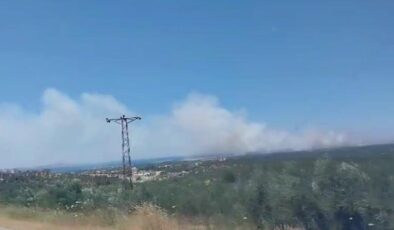 Çanakkale’de orman yangını: Havadan ve karadan müdahale