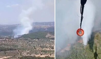 İzmir Bergama’da orman yangını