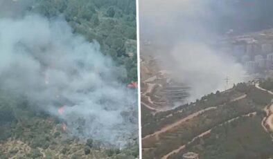 İzmir’de orman yangını: Havadan ve karadan müdahale ediliyor