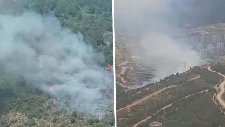 İzmir’de orman yangını: Havadan ve karadan müdahale ediliyor