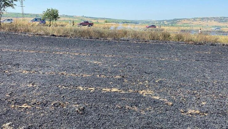 Malkara’da 5 dekar buğday tarlası yandı