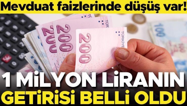 Mevduat faizlerinde düşüş var! 1 milyon liranın getirisi belli oldu