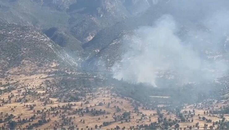 MSB duyurdu: PKK’lı teröristler gizlenmek için ormanları yakıyor