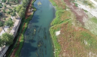 Seyhan Nehri’ni yosun kapladı: Kötü koku oluştu