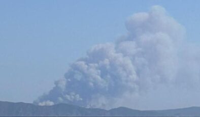 Son dakika… Çanakkale’de orman yangını! Bakanlık’tan açıklama