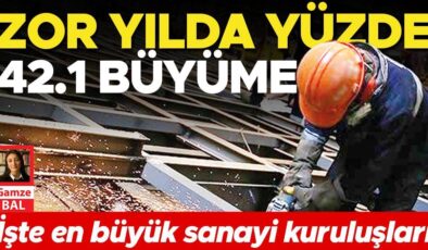 Zor yılda yüzde 42.1 büyüme