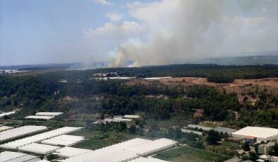 Antalya Aksu’da orman yangını! Ekipler müdahale ediyor