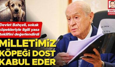 Bahçeli: Türk milleti köpekleri dost sayar