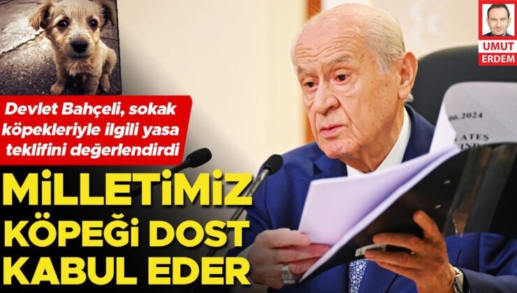 Bahçeli: Türk milleti köpekleri dost sayar