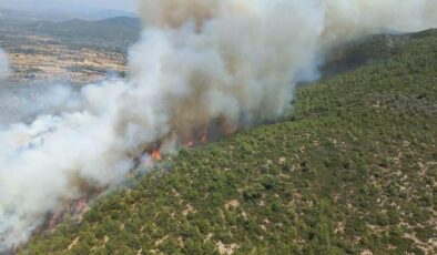 Bodrum’da orman yangını! Havadan ve karadan müdahale ediliyor