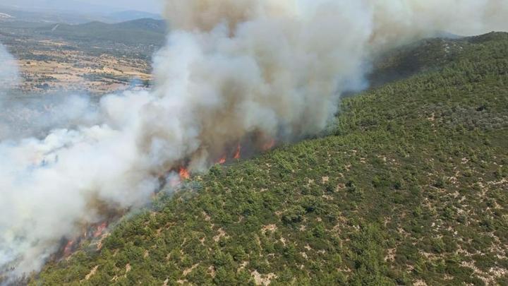 Bodrum’da orman yangını! Havadan ve karadan müdahale ediliyor