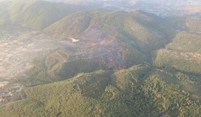 Bodrum’daki orman yangını kontrol altına alındı