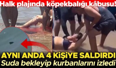 Halk plajında köpekbalığı kâbusu! Aynı anda dört kişiye saldırdı, kanlar içindeki kurbanını suda seyretti