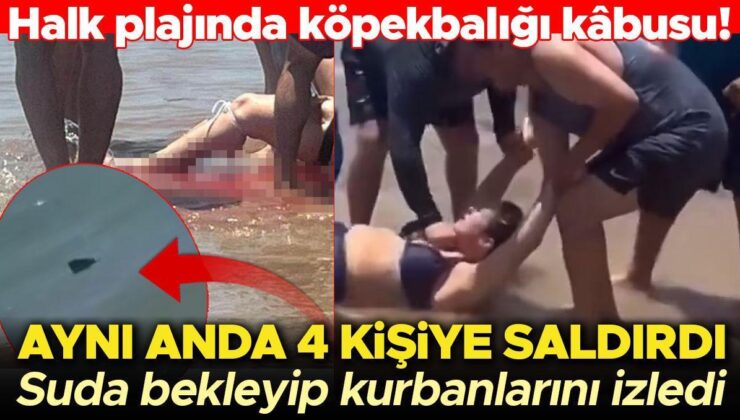 Halk plajında köpekbalığı kâbusu! Aynı anda dört kişiye saldırdı, kanlar içindeki kurbanını suda seyretti