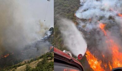 İzmir ve Balıkesir’deki orman yangınları 2’nci gününde