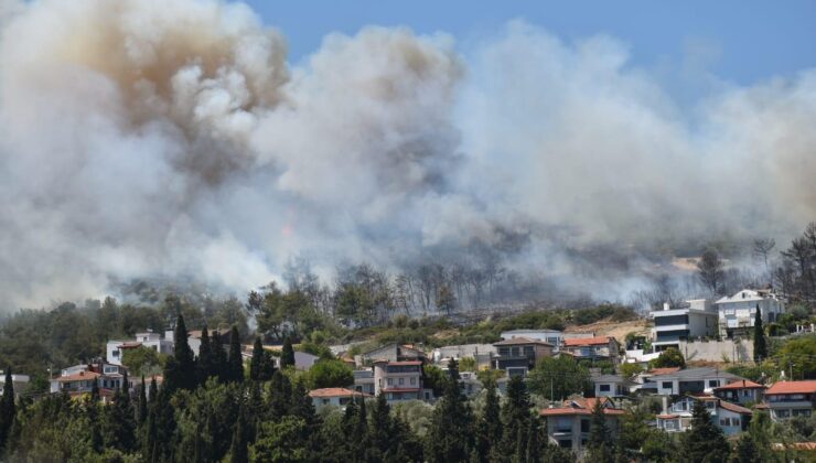 İzmir’in Urla ve Çeşme ilçesinde orman yangını