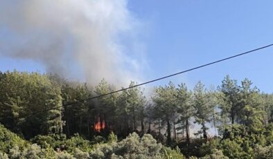 Muğla Milas’ta orman yangını! Havadan ve karadan müdahale ediliyor