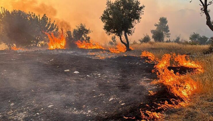 Son dakika haberi: Kahramanmaraş, Antalya ve Yalova’da orman yangını! Ekipler müdahale ediyor