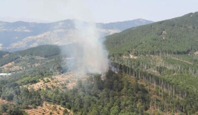 Aydın’da orman yangını: Havadan ve karadan müdahale ediliyor