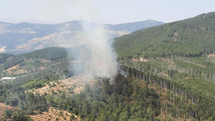 Aydın’da orman yangını: Havadan ve karadan müdahale ediliyor