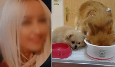 Bursa’da eski sevgilisi şikayet etti: Köpeklere yaptığı işkence ortaya çıktı