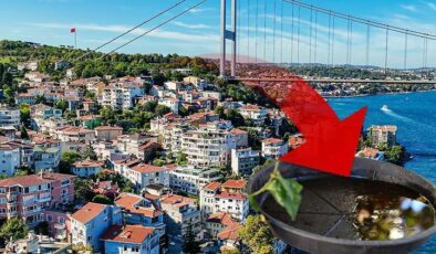 İstanbul’da iki ilçede yaygınlaştı! Birçok hastalığa neden oluyor… Uzmanlar uyardı: Balkon ve bahçenize su bırakmayın